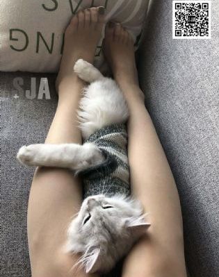 青青河边草免费的观看_蓝光手机在线看