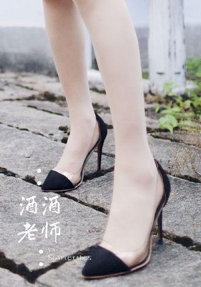 女人当家电视剧全集免费观看_1080P免费在线播放