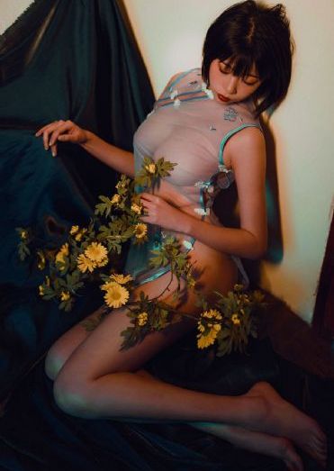 完美世界 动漫_BD日韩免费观看